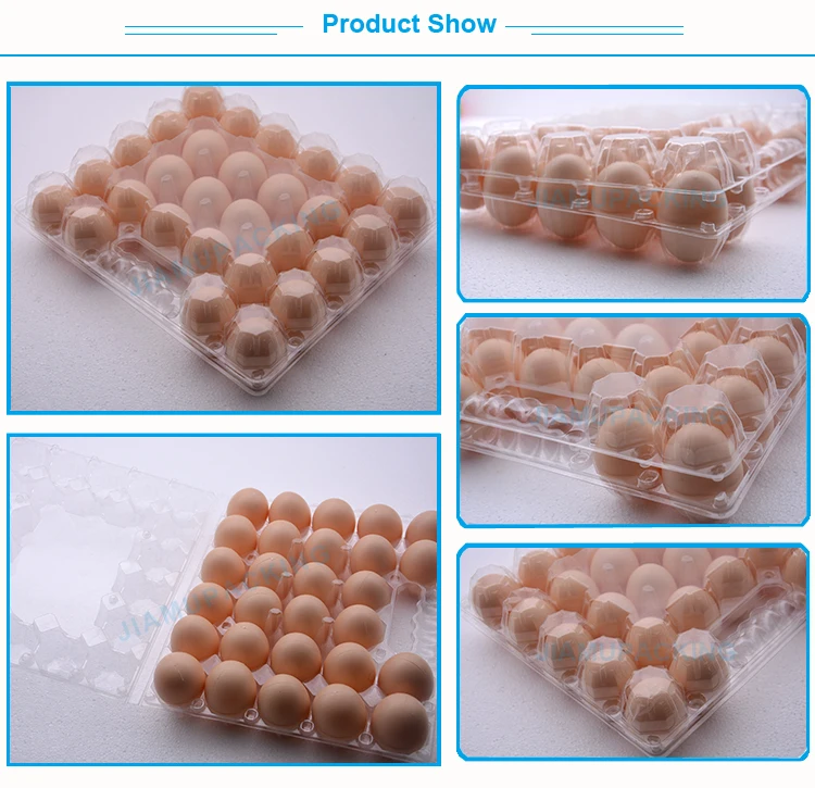 Unique Design Plastic Chicken Egg Crate With Handle Buy