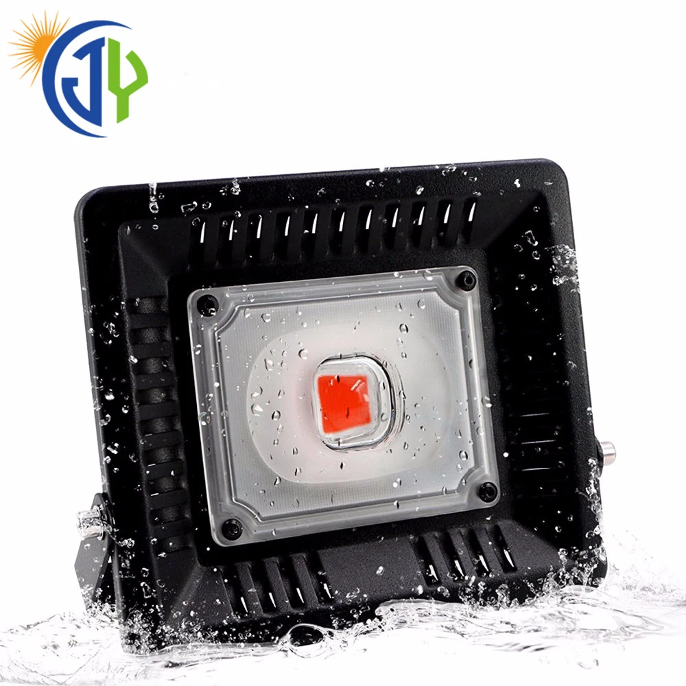 Integrated Led Cob Cree White Led Grow Light 3590 100w 50w For Indoor