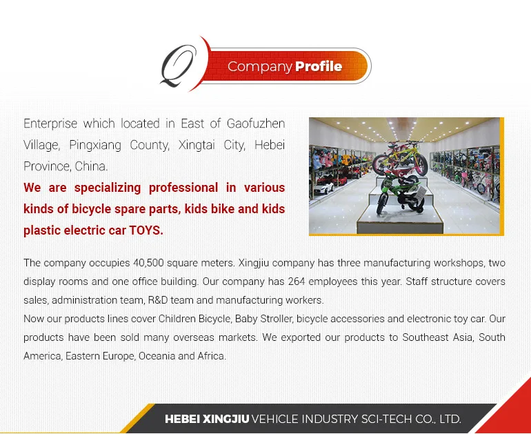 Company  profile.jpg