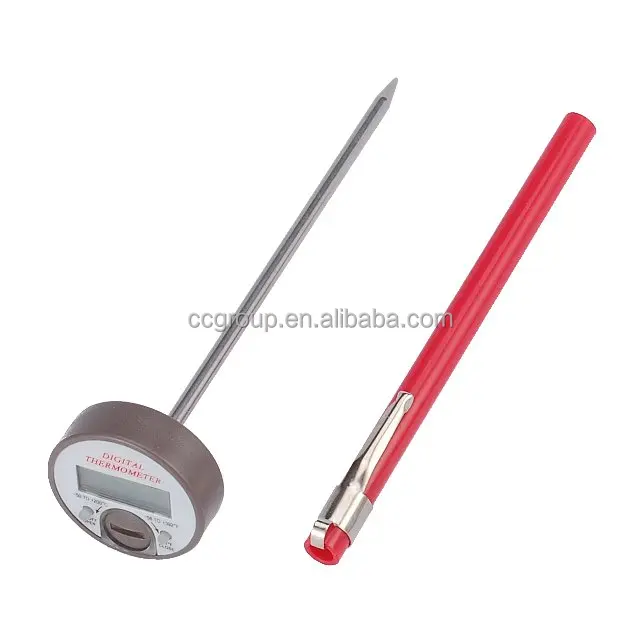 liquid digital thermometer