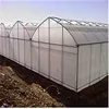 Durable multi span agriculture equipment polythene greenhouse