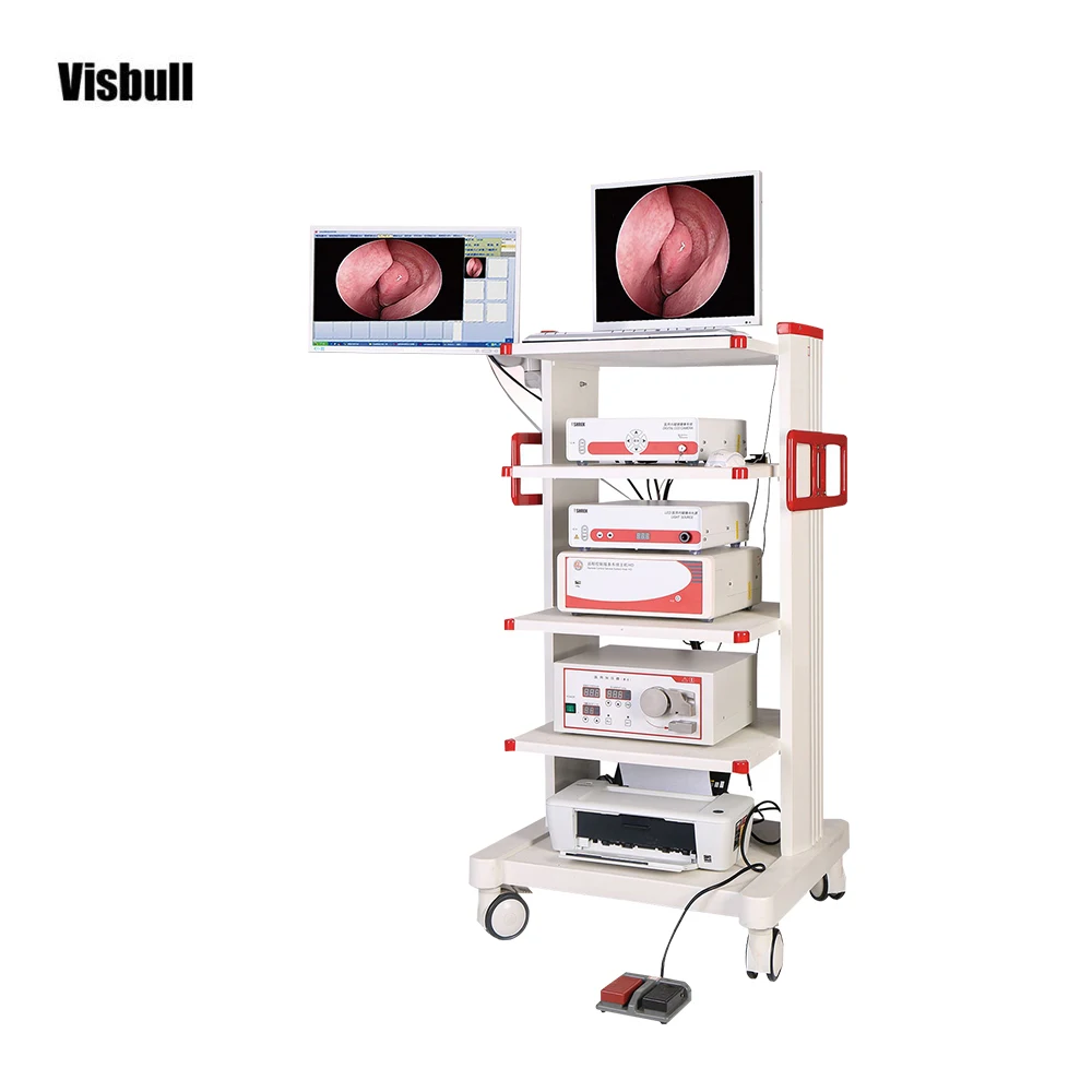 Ent Surgery Complete Set / Ent Ear Endoscopy / Ent Nse Endoscope Buy