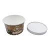 Reusable Disposable 3oz 16oz 32oz Custom Logo Paper Ice Cream Spoon And Cup
