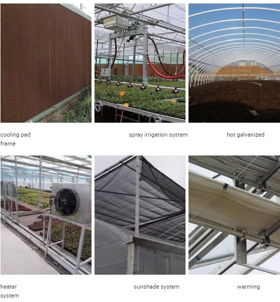 solar greenhouse