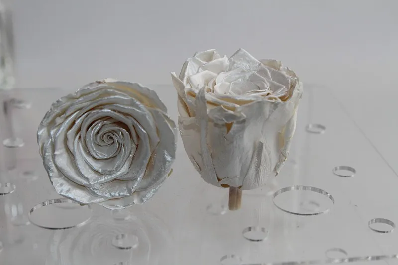 pearl white preserved roses