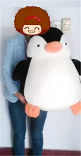 HTB1L0NDOXXXXXXKXXXXq6xXFXXXW