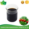 Increase production sweet potato natural plant growth regulator