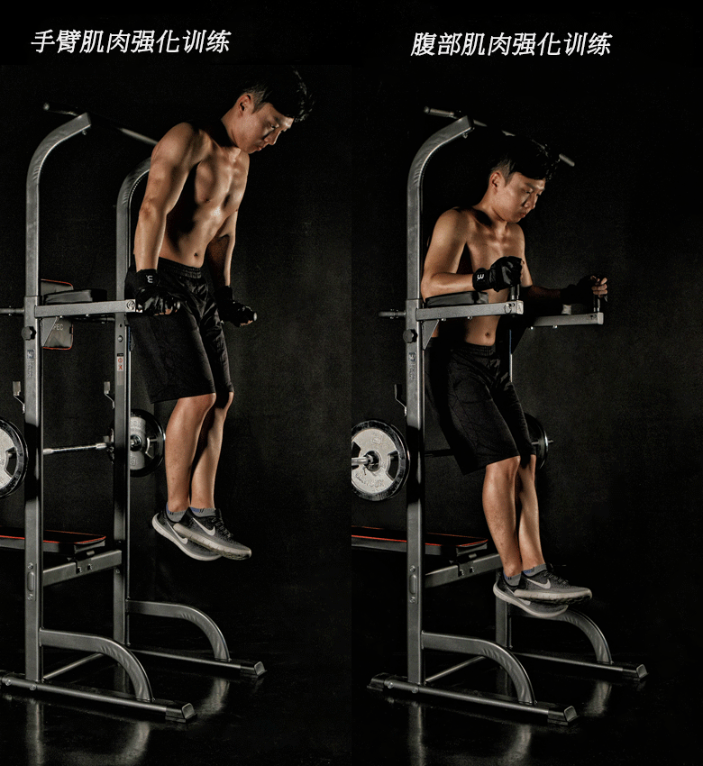 The Rack Workout Station Flat Bench Adjustable Dip Station Buy