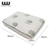 Aloe Vera Scented Natural Extract Infused Aromatherapy Premium Memory Foam Pillow