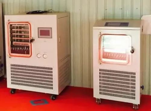 lyophilizer freeze dryer