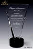 Custom Sandblasting Inverted Triangle Crystal Plaque Trophy Ability Award With Round Black Base.