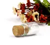 Drift Bottle Cork Shape Usb Flash Drive Wooden Pen drive With Customized Logo