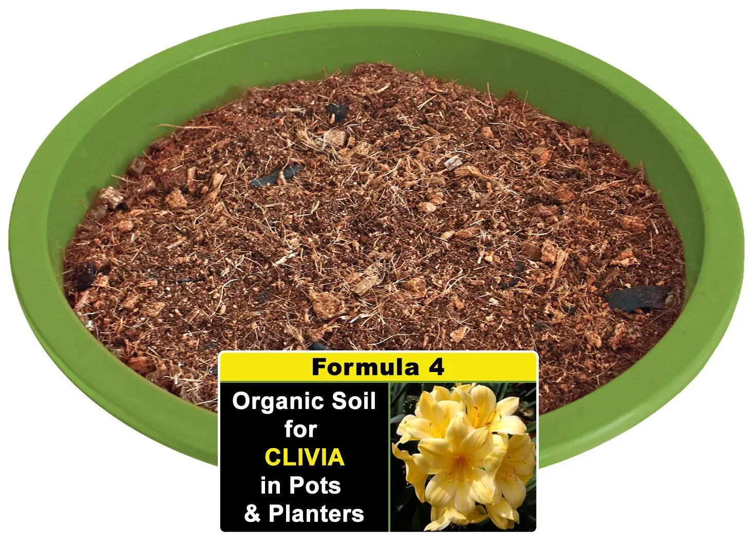 Cheap Clivia Plant, find Clivia Plant deals on line at