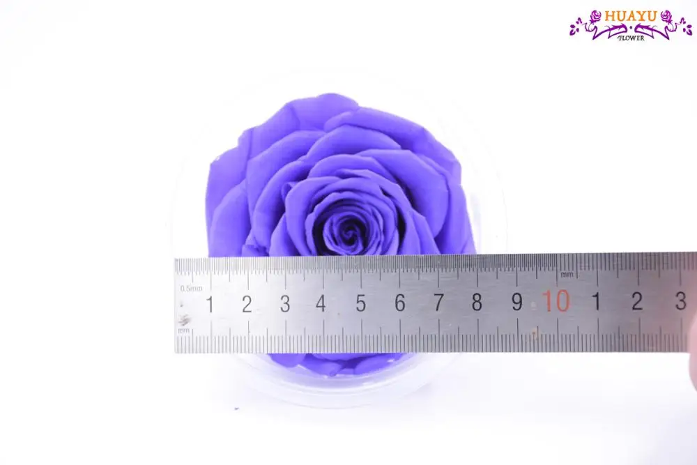 Best Selling Products Scientific Name Roses Preserved Black Roses