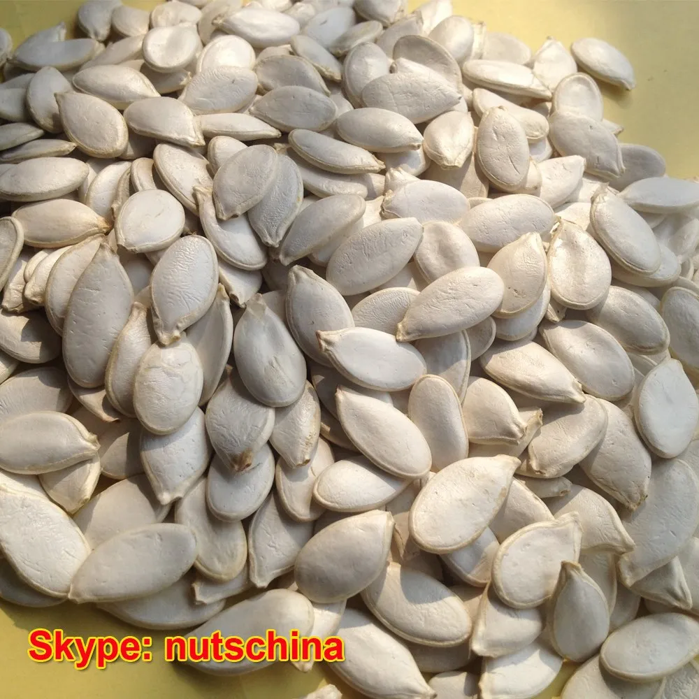 Green Pumpkin Seeds Grown Without Shell Aaa/aa/a/oil Grade Buy