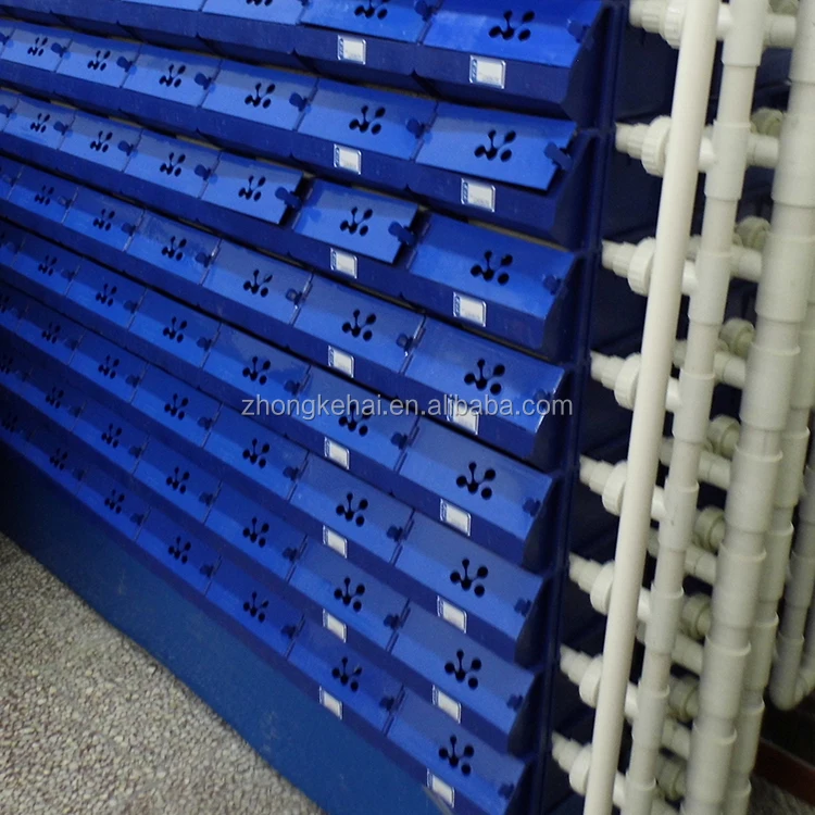 
Indoor farming freshwater crabs, sea crab --Crab House 