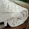 Wholesale 100% Silk quilt duvet comforter for summer adult customer logo ivory color