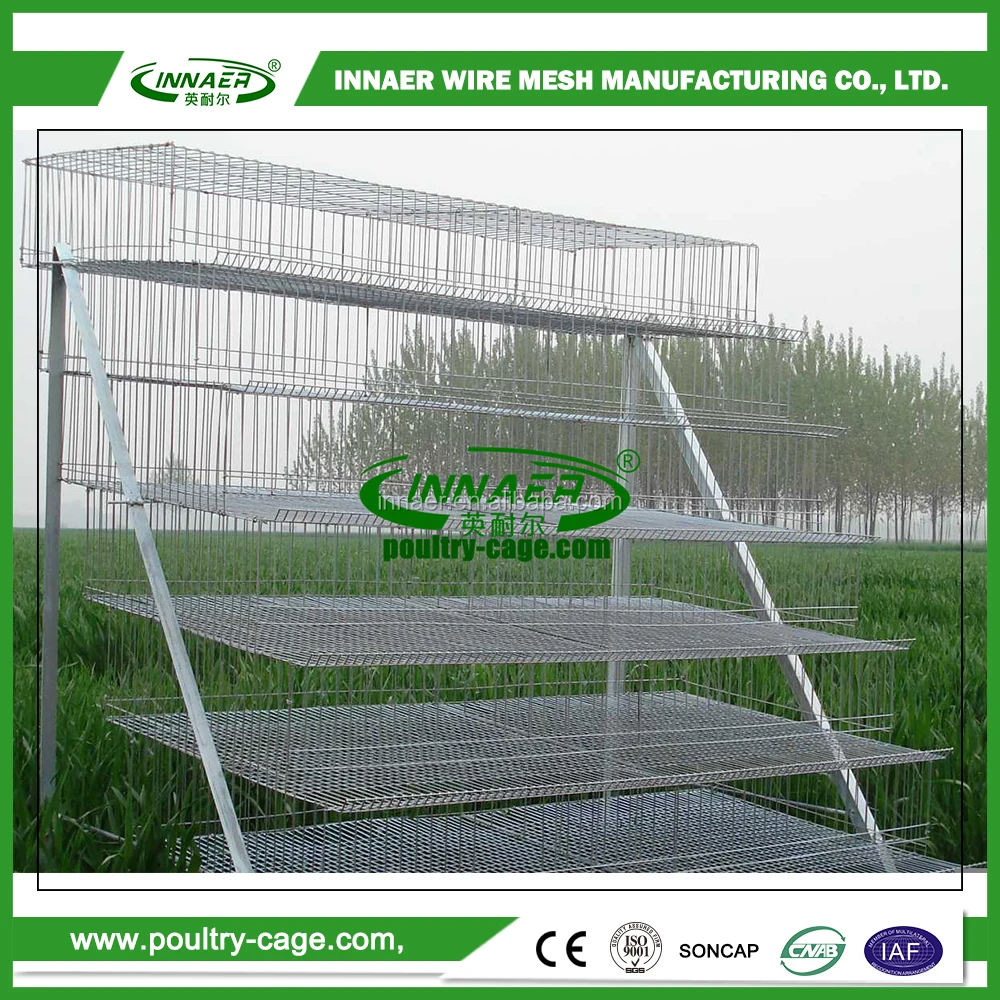 Available For One Layer Or Layers Adjustment Quail Laying Cage Buy Quail Laying Cage,Quail