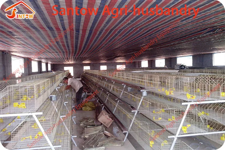 Hot Galvanized Chicken Poultry Cages Cold Galvanized Cage Tunnel