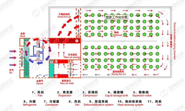 Saving power commercial used vegetable drying machine / onion / ginger /garlic dehydrator