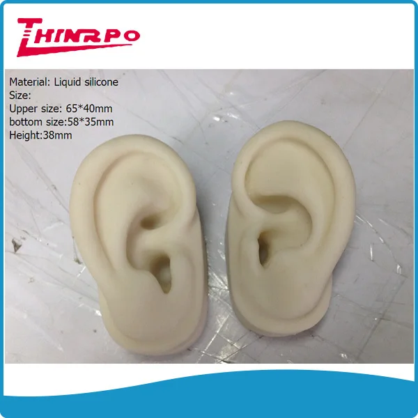 Rubber Silicone Ear Model For Hearing Aid Display Liquid Silicone Ears ...