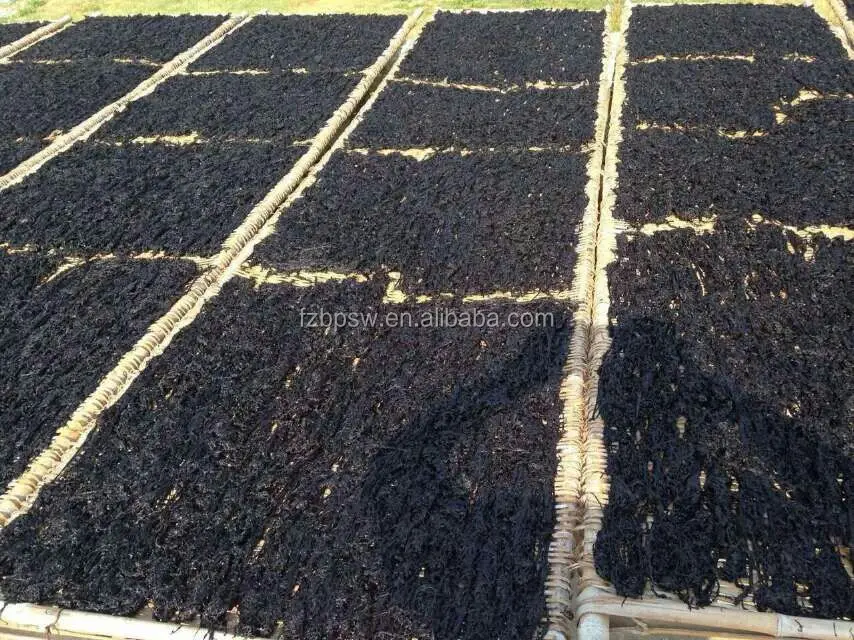 mmexport1444877438132