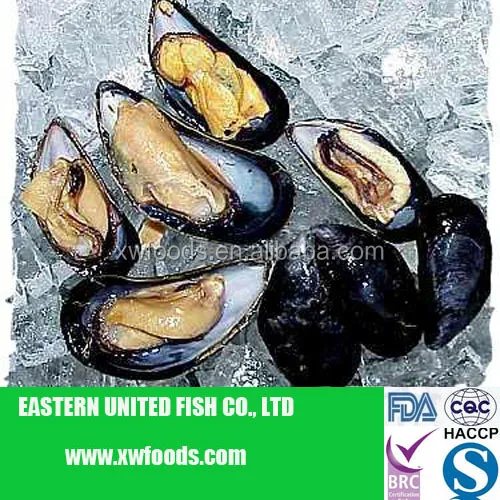 Congeles Moules Cuites Viande Avec Demi Coquille Buy Moules Congelees Viande Mith Demi Coquille Moule Bleue Iqf Moule Bleue Cuite Product On Alibaba Com