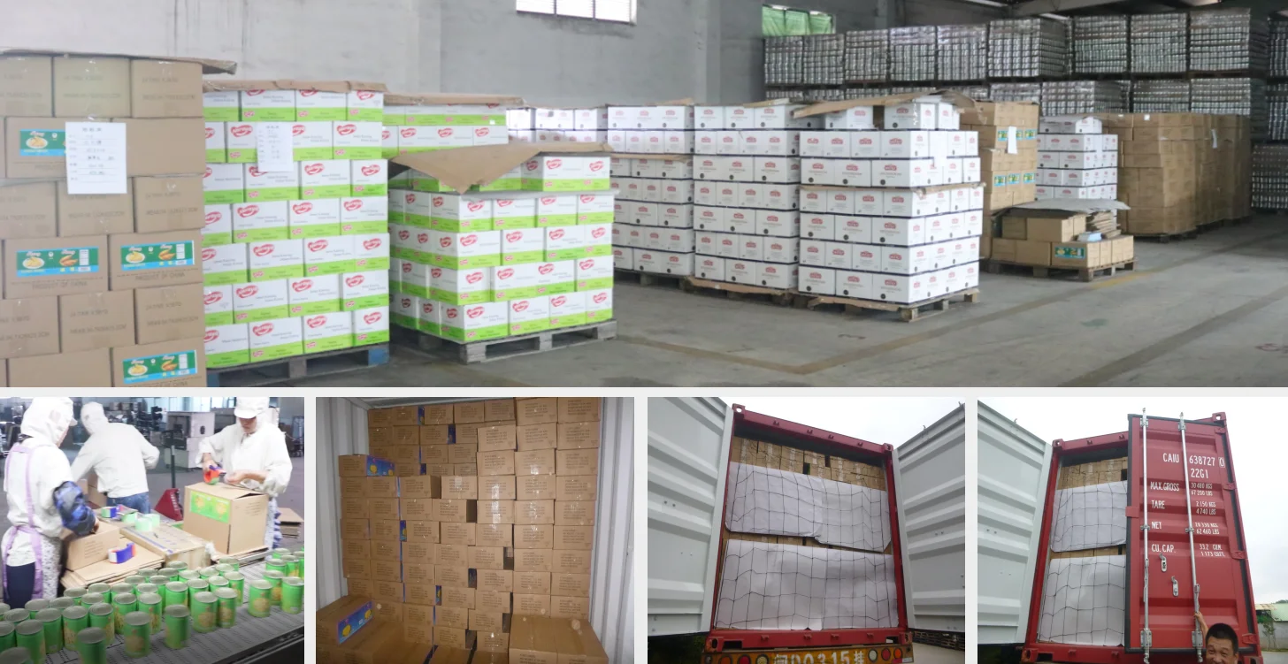 haishan canned food button mushroom can