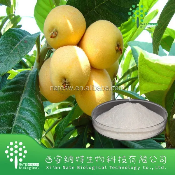 eriobotrya japonica extract powder