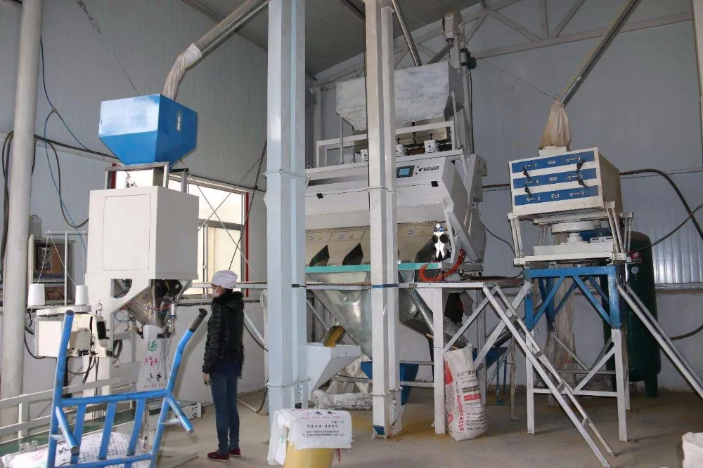 Millet Mill Machine Complete Millet Processing Equipment Buy Millet