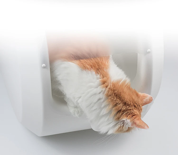Wholesale Modern Sift Cat Litter Box Automatic Enclosed Buy Large