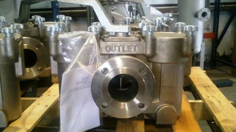 duplex strainer-cf8m