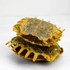 10022 Biejia Best Selling Vinegar Turtle Shell