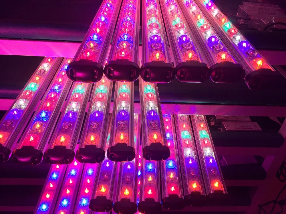 2017 Cidly 24" 39w Tomato Grow Led Grow Light Bar Tomato Grow Full