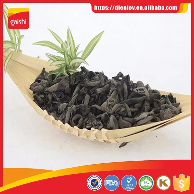 black fungus mushroom agaric