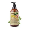 Sulfate Free Anti Dandruff Herbal Shampoo Best Mild Ginger Anti Hair Fall Shampoo for Human Head