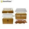 Bee Beekeeping Equipment Nuc Bee Box Plastic Hive polypropylene plastic bee hives