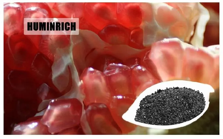 Humic Acid Fertilizer Thailand.jpg