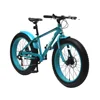 Good Price Top Quality fat cycle snow mountain bicycle