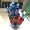 High Accuracy Color 3D Printing Durometer Flexible Stretchable Medical 3D Digital Organ Model