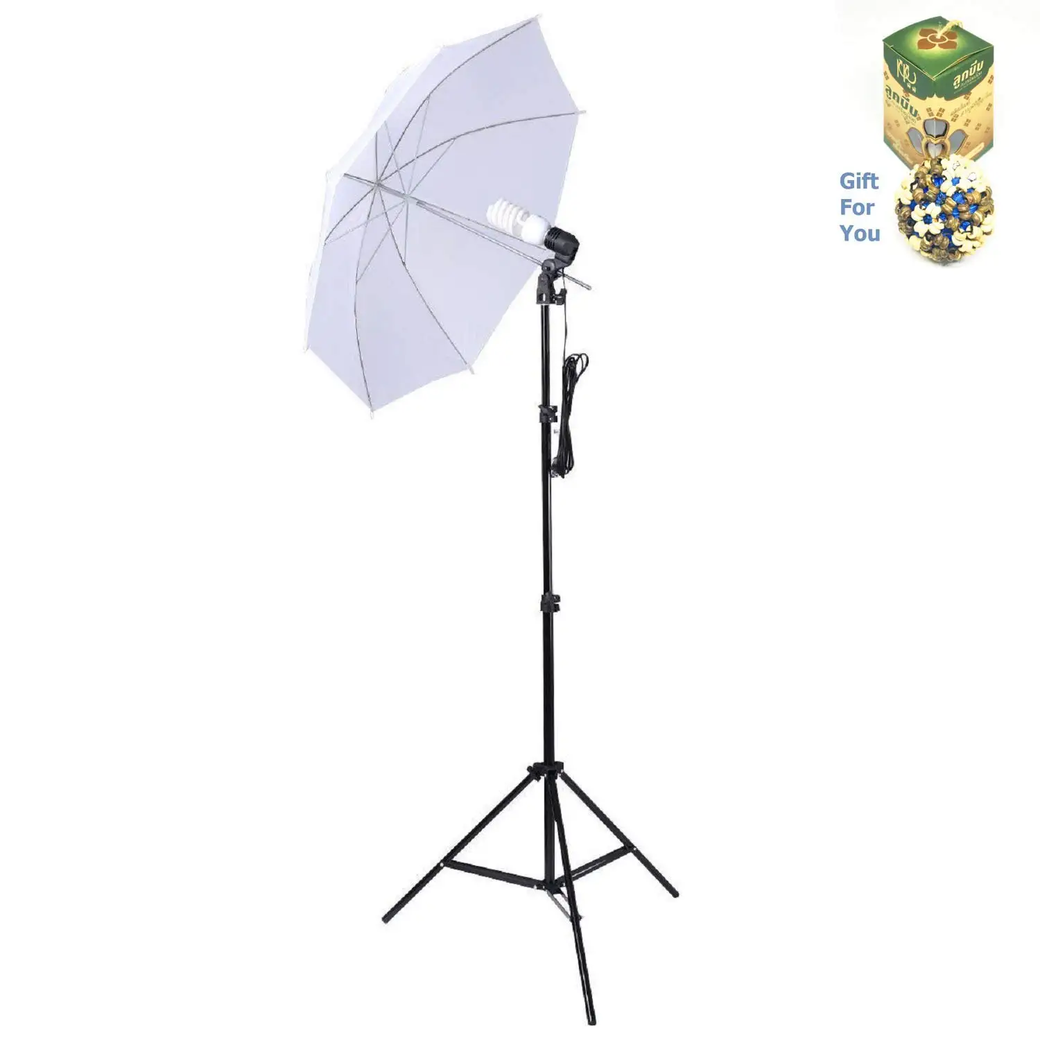 Gift Coconut Shell Massage Ball 24 Foldable LED Photo Studio by SpiritOne