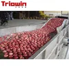 Apple juicer ptoduction machine processing project line