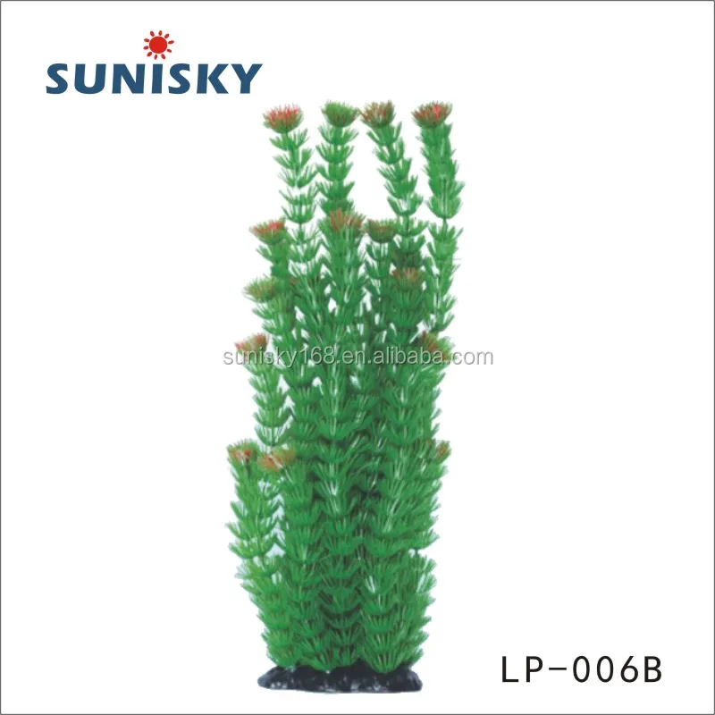 LP-006B.jpg