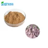 SOST Organic Polygonum Multiflorum/He Shou Wu Extract Powder for Hair Growth