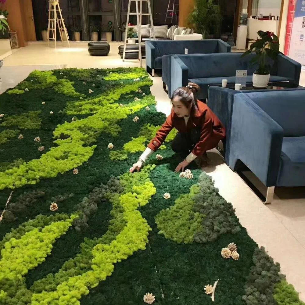 Etrenal Natural Wall Artificial Decorative Moss Irish Moss Buy Irish