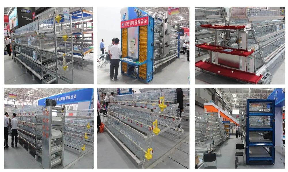 broiler battery cage system made in china for chicken pouultry farm