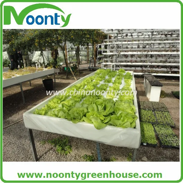  Dft Hydroponics System Buy Dft Hydroponic Hydroponic 