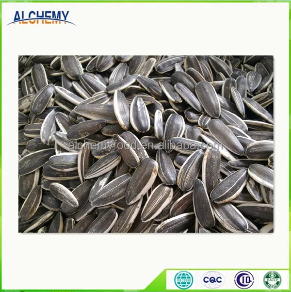 Chinese Origin Sunflower Seed Ton Price Buy Price Of Sunflower Seeds,Pink Sunflower Seeds