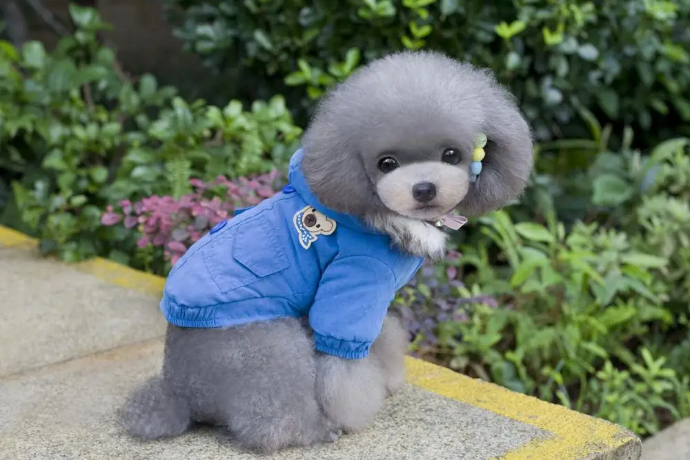 Leisure Soft Warm Pet Coat With Hood