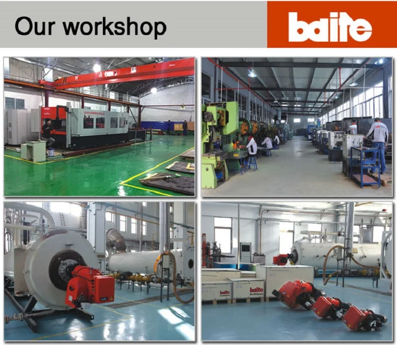 BTN5g Industria lpg gas burner for boiler